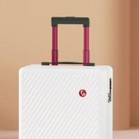 费雪（Fisher-Price） FP-LX002 奈斯旅行箱 20英寸(单位：个)