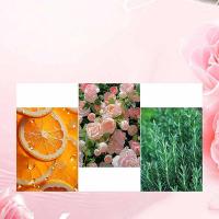 马头 JC001 浪漫玫瑰花香洗衣液 500g (单位: 袋)