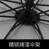 典小圣 DXS-YS05 晴雨伞 均码 （单位:把） 颜色随机