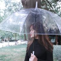 典小圣 DXS-YS11 晴雨伞 均码 （单位:把） 透明白