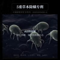 和风雨（Hefengyu） 植萃氨基酸 鎏金沐浴露 500g （单位：瓶）