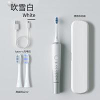 松下（Panasonic） EW-DC70 电动牙刷 2小时充满 吹雪白（单位：支）