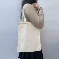 皖亭 WT-BD-002 百纳帆布袋 38*32*10cm (单位:个)