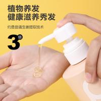 柏缇（POTE）山姜健发洗发露 650ml（单位：瓶）