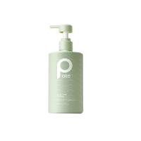 柏缇（POTE）北非雪松控油蓬松洗发露505ml（单位：瓶）