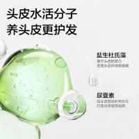 柏缇（POTE）北非雪松控油蓬松洗发露505ml（单位：瓶）