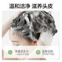 柏缇（POTE）北非雪松控油蓬松洗发露505ml（单位：瓶）