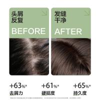 柏缇（POTE）海藻去屑止痒洗发露505ml（单位：瓶）