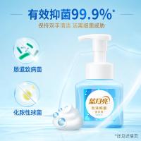 蓝月亮 琥珀雪松 泡沫抑菌洗手液 255ml 新旧包装随机发货 (单位:瓶)