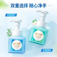 蓝月亮 琥珀雪松 泡沫抑菌洗手液 255ml 新旧包装随机发货 (单位:瓶)