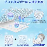 白猫 活氧去渍彩漂 洗衣粉 1kg （单位:瓶）