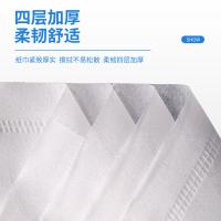 艾逸瑶选 NY-21163 净悦大盘纸 600g/卷 12卷/箱(单位：箱)