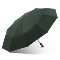天堂伞 30975E 一键开收易甩干 全自动晴雨伞 33cm 10骨（单位：把）纽曼绿