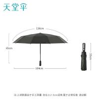 天堂伞 30975E 一键开收易甩干 全自动晴雨伞 33cm 10骨（单位：把）纽曼绿