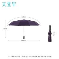 天堂伞 30975E 一键开收易甩干 全自动晴雨伞 33cm 10骨（单位：把）深紫
