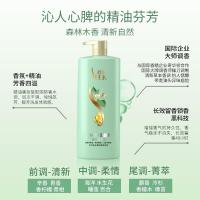 舒蕾 绿茶籽控油去屑洗发露 500ml（单位:瓶）