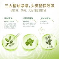 舒蕾 绿茶籽控油去屑洗发露 500ml（单位:瓶）
