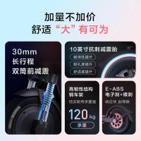 九号（Ninebot） F30Plus 电动滑板车 续航里程30km(单位：台) 彩色