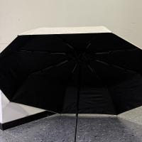 费雪（Fisher-Price） FP-Y012 自动晴雨伞 54cm*8k 米色 (单位:把)