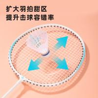 安格耐特（Agnite） FH102 耐磨凹框羽拍 2支/副(单位：副) 蓝色