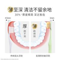 狮王（Lion）  细齿洁宽薄茶抗敏牙刷 1支（单位：支）