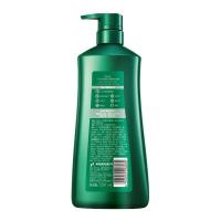 100年润发（CENTAINE）柔亮去屑 防干枯洗发露 750ML（单位：瓶）