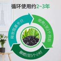 绿之源（GREEN SOURCE） 除甲醛新车除甲醛除异味 空气净化剂 500g*4袋 绿色（单位：箱）