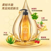 滋源（seeyoung） 生姜强根健发 洗发水 535ml 橙色（单位：瓶）
