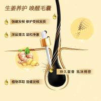滋源（seeyoung） 生姜强根健发 洗发水 535ml 橙色（单位：瓶）