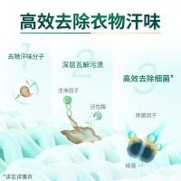 蓝月亮 运动洗衣液 500g（单位：瓶）