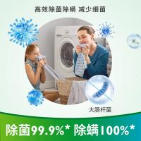 净安（Cleafe） 洗衣机槽清洁剂 柠檬香 300g/盒*4盒 (单位:盒)