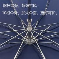 天堂 三折晴雨伞 加大双人 38059ELCJ字母 约113*73cm (单位:把) 藏青