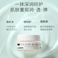 养生堂 天然桦树汁面霜 滋润修护 50g (单位:瓶)