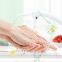 大嘴猴（Paul Frank） 甜橙苏打洗洁精 DZH500 500g (单位:瓶)