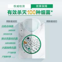 滴露（Dettol） 衣物消毒除菌 衣物消毒/除菌剂 3L 星云紫（单位：瓶）