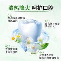 纳爱斯 清凉冰菊 牙膏 120g （单位:支）