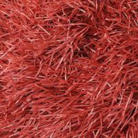 科力邦 KB3441 扫把 铁杆塑料丝5个装（单位：包）