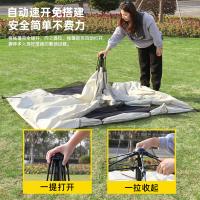 多迈多 全自动速开帐篷 便携式 DMD-ZP11 210*150*125cm 10顶/箱 (单位:顶)