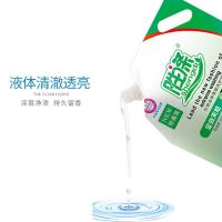 胜涤 全效生态天然洗衣液 快速去渍 2kg (单位:袋) 绿色
