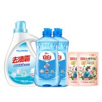 立白（Liby） 去渍霸全效洁净五件套 大师香氛洗衣液100g*2+盐洁洗洁精460g*2+去渍霸洗衣液1500g*1 2620g （单位：套）