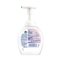 滴露（Dettol） 花香型 泡沫洗手液 250ml (单位:瓶) 新老包装随机发货