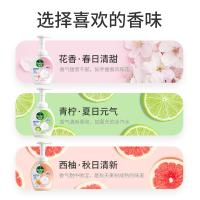 滴露（Dettol） 滴露泡沫洗手液西柚+青柠250ml4瓶 洗手液 (250ml+250ml)*2 粉色/绿色（单位：组）