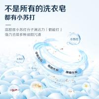立白（Liby） 天然小苏打洗衣皂 226g*2 蓝色（单位：块）