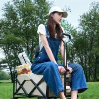 艾逸瑶选 HW-12000 自由行露营车（大号） 90*51*58CM 混色 (单位:个)