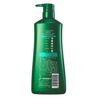 100年润发（CENTAINE） 茶叶香型 净萃控油调理洗发露 750ml (单位:瓶)