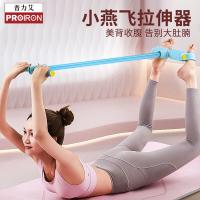 PROIRON PRO-LLQ02-2 拉力器 500x265x60mm （单位:根） 蓝色
