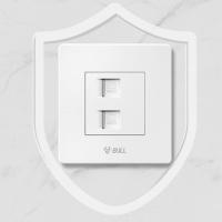 公牛（BULL） G07T222 面板插座 二位电脑插座 白色 (单位:个)