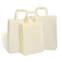 甠焓 QH-DW231450 手提袋 规格：37*30*9cm 材质：80g新料无纺布 立体竖款 （单位：个） 白色