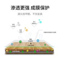 绿之源（GREEN SOURCE） Z-0817 甲醛清除剂 500ml (单位：瓶)