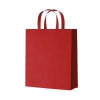 四万公里 竖款中号 无纺布袋子 30*38*10cm 10个/组(单位：组) 红色